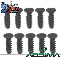 Countersunk head screws