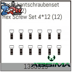 Hex Screw Set 4*12