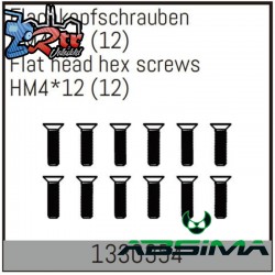 Flat head hex fine pitch screws HM4*12/12 pcs