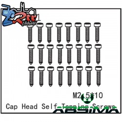 Self-tapping Cap Screw M2.5x12