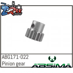 Pinion Gear