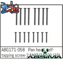 Pan Head Screw M2.5x27