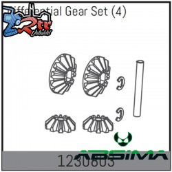 Differential Gear Set