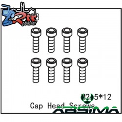 Cap Head Screws M2.5x12