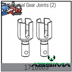 Differential Gear Joints