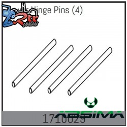 Lower Hinge Pins