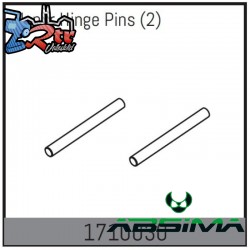 Upper Hinge Pins