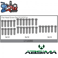 Flat Head Screw Set 3x12/3x14