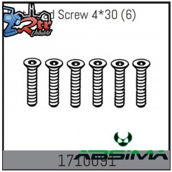 Flat Head Screw 4x30