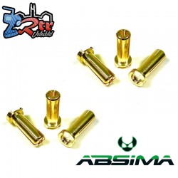 Bullet Plugs 5mm (6)