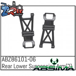 Rear Lower Suspension Arm - Mini AMT 2