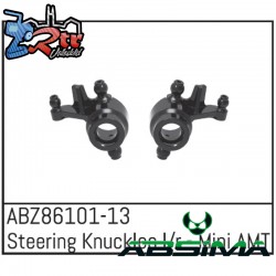 Steering Knuckles l/r - Mini AMT