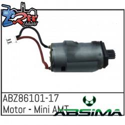 Motor - Mini AMT