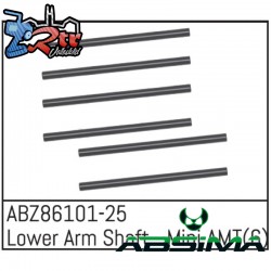 Lower Arm Shaft - Mini AMT 6