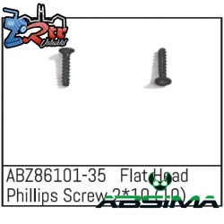 Flat Head Phillips Screw 2x10 - Mini AMT 10