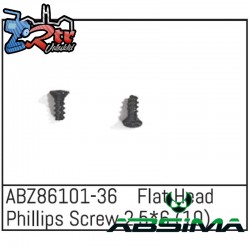 Flat Head Phillips Screw 2.5x6 - Mini AMT 10