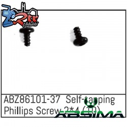 Self-tapping Phillips Screw 2x4 - Mini AMT 10