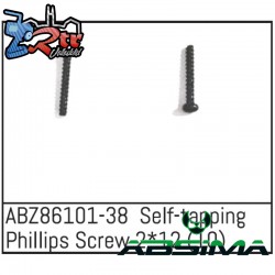 Self-tapping Phillips Screw 2x12 - Mini AMT 10