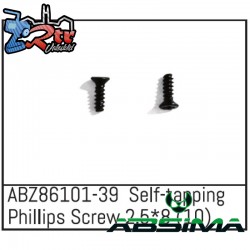 Self-tapping Phillips Screw 2.5x8 - Mini AMT 10