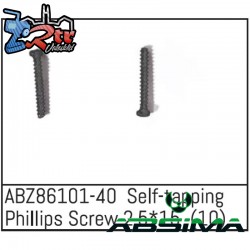 Self-tapping Phillips Screw 2.5x15 - Mini AMT 10