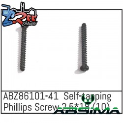 Self-tapping Phillips Screw 2.5x18 - Mini AMT 10