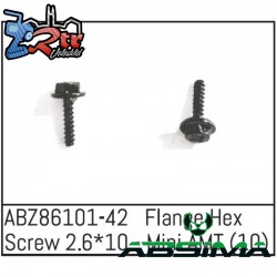 Flange Hex Screw 2.6x10 - Mini AMT 10