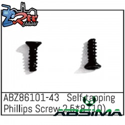 Self-tapping Phillips Screw 2.5x8 - Mini AMT 10