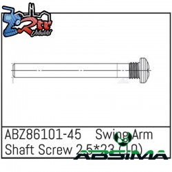 Swing Arm Shaft Screw 2.5x23 - Mini AMT 10