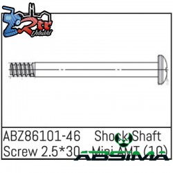 Shock Shaft Screw 2.5x30 - Mini AMT 10