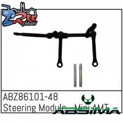 Steering Module - Mini AMT