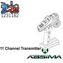 11 Channel Transmitter