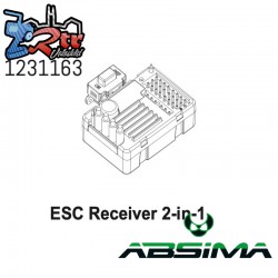 2in1 ESC&Receiver