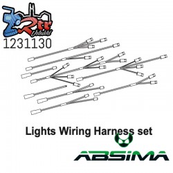 Led Light&Wire Set CR4.4