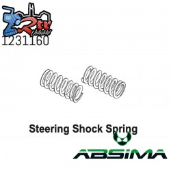 Steering Spring2 CR4.4 (2)