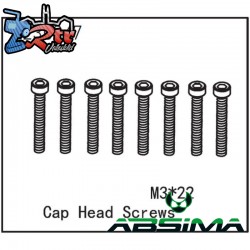 Cap Head Screws M3*22 (8)