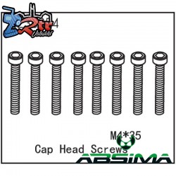 Cap Head Screws M4*35 (8)