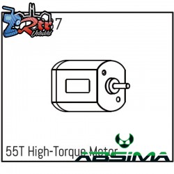 55T High-Torque Motor 1010037