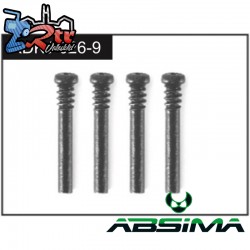 2.5*19 Screws (4)