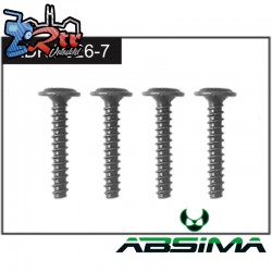 2.3*14 Screws (4)